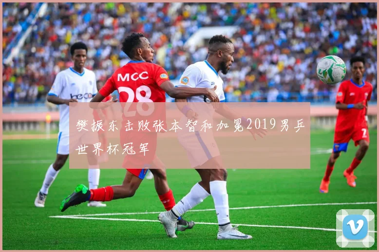 樊振东击败张本智和加冕2019男乒世界杯冠军