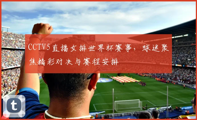 CCTV5直播女排世界杯赛事,球迷聚焦精彩对决与赛程安排