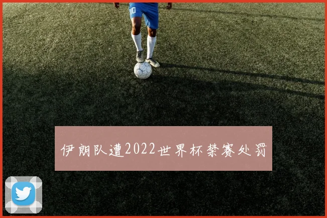 伊朗队遭2022世界杯禁赛处罚