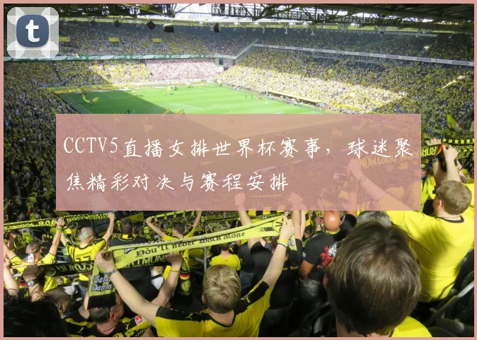 CCTV5直播女排世界杯赛事,球迷聚焦精彩对决与赛程安排