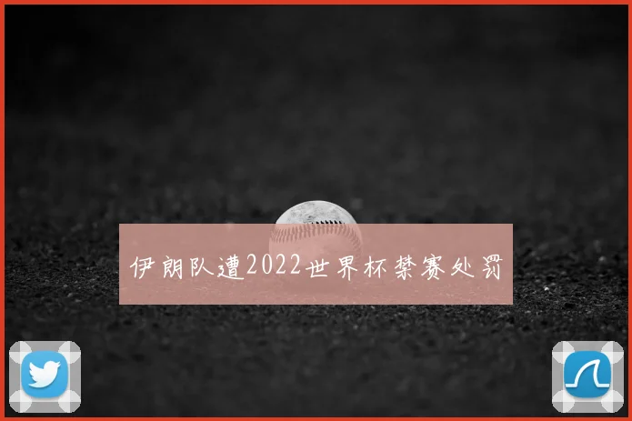 伊朗队遭2022世界杯禁赛处罚