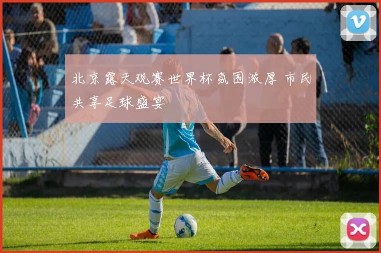 北京露天观赛世界杯氛围浓厚 市民共享足球盛宴