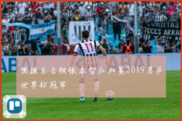 樊振东击败张本智和加冕2019男乒世界杯冠军