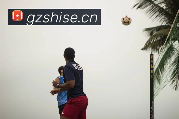 App Interface Preview